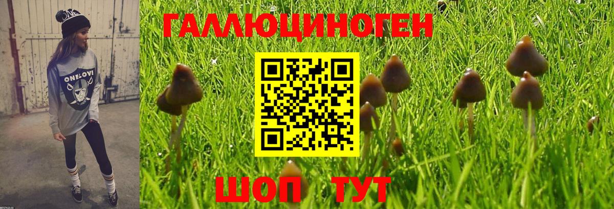 Псилоцибиновые грибы Magic Shrooms  Вход с VPN  Галлюциногенные грибы Magic Shrooms  Балтийск 